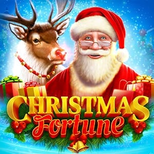 Christmas Fortune 96 game icon